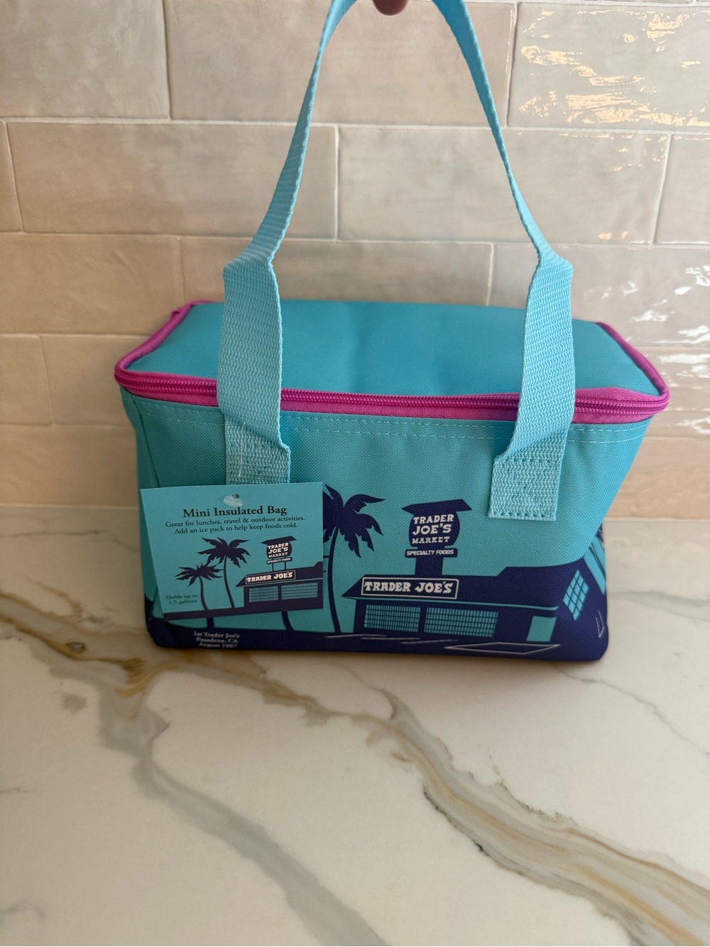 NWT Trader Joe's Ocean Blue Mini Insulated Lunch Tote Bag